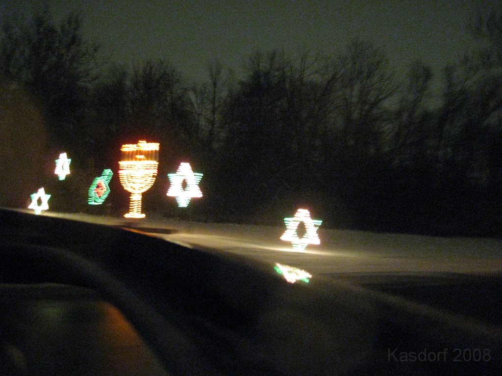 Christmas Lights Hines Drive 2008 039.jpg - The 2008 Wayne County Hines Drive Christmas Light Display. 4.5 miles of Christmas Light Displays and lots of animation!